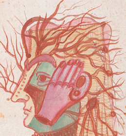 Frida Kahlo: an anguished brush @ NSU Art Museum Ft. Lauderdale