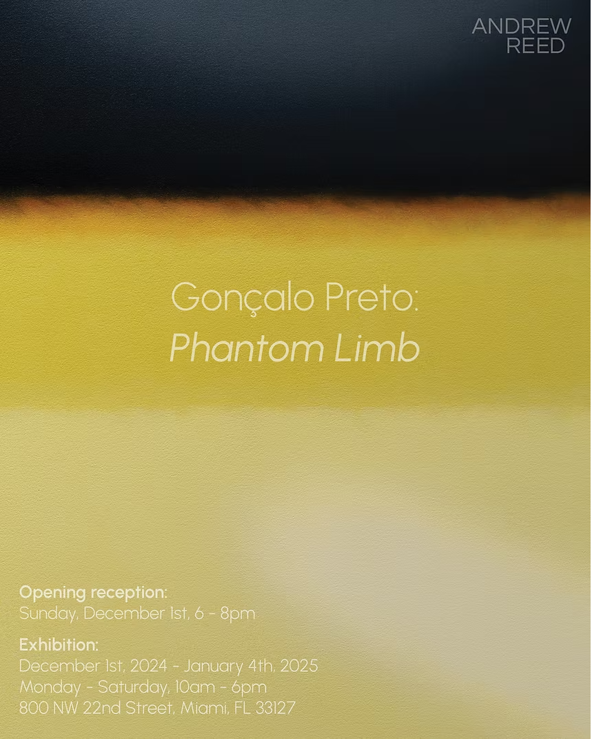 Andrew Reed Gallery: Gonçalo Preto: Phantom Limb