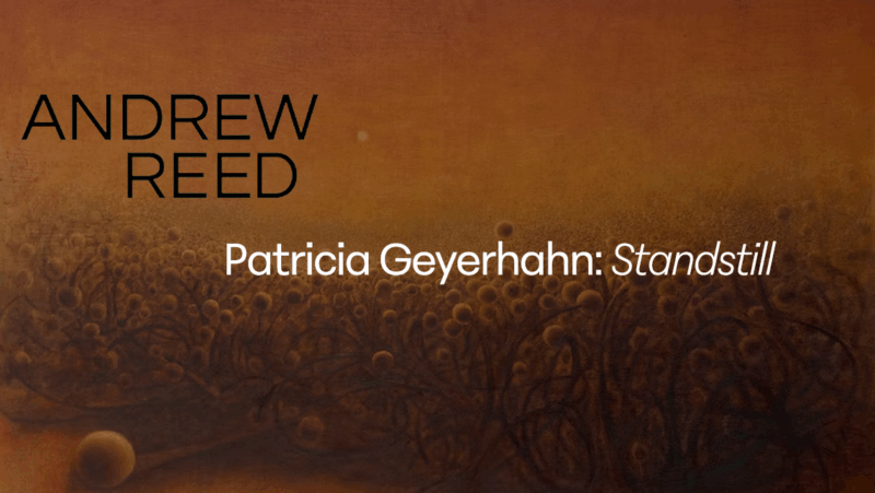 Standstill by Patricia Geyerhahn