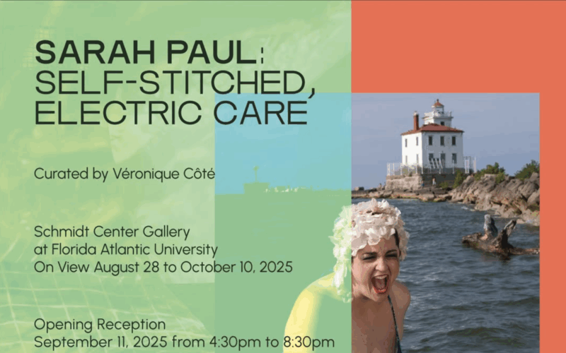 Self Stitched: Electric Care by Sarah Paul