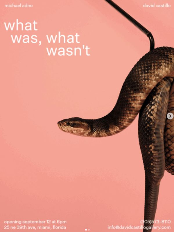 Michael Adno ‘What Was, What Wasn’t’ and Gonzalo Hernandez ‘Felix, Richard and Me’