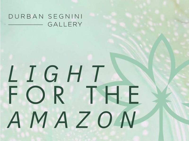Light for the Amazon – Durban Segnini Gallery